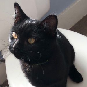 Meet your Posher, Camile